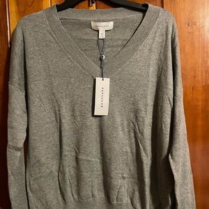 Popsugar Grey Sweater